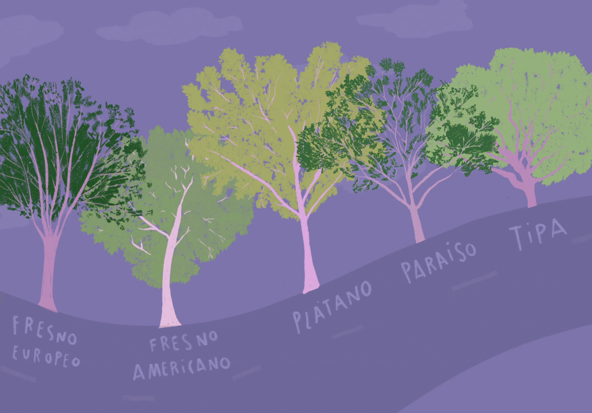 Montevideo verde: ¿qué árboles hay en tu barrio? ¿Cuáles son los más  plantados en la ciudad? - Noticias de Uruguay y el mundo actualizadas - EL  PAÍS Uruguay